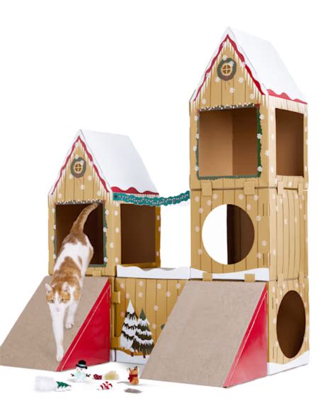 cat present scratch house